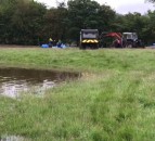 RSPCA saves 12 stranded sheep in flood rescue mission