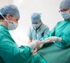 Applications open for new veterinary pathway at Harper Adams