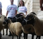 Defra slams 'inaccurate' People's Vote claims