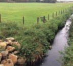 CAFRE to host Environmental Farming Scheme farm walk