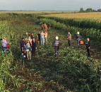Video: Passenger jet makes emergency landing in maize field