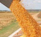 Road trip in US might affect your grain price