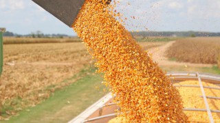 Road trip in US might affect your grain price