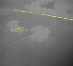 Night drone patrols enlisted to crack down on illegal field butchery