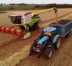 Grain price: Unsettled, but not going to jump anywhere fast