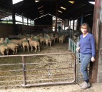 Are you using the right selenium-approved sheep bolus?