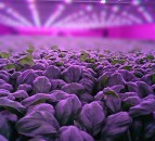 US firm invests £1.5 million in Scottish agri-tech firm