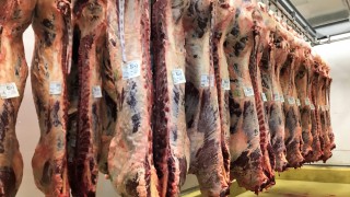 Welsh farmers meet UK minister to seek beef chain investigation