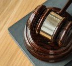 Farmer given suspended jail sentence after livestock left to die in field
