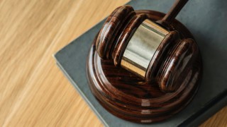Farmer given suspended jail sentence after livestock left to die in field