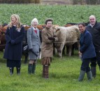 Princess Royal hears about grass-fed beef at Lanarkshire farm