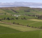 Savills farmland forecast 2020 – local factors to dominate
