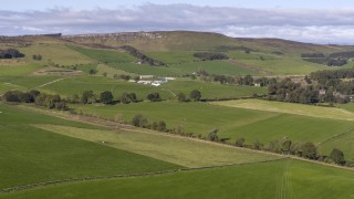 Savills farmland forecast 2020 – local factors to dominate