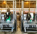 Fight to ban GM feed imports in EU labelled ‘scaremongering’