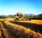 Winners of harvest photo competition announced