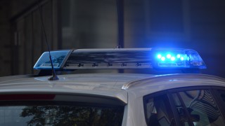 5 arrested following discovery of migrants in cattle truck