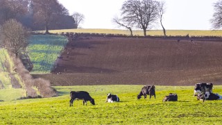 ‘Farmers in NI cannot produce food to a different set of rules to farmers in the south’