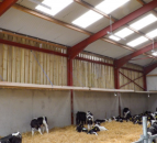 Video: Important factors to consider when it comes to calf accommodation