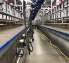 Union calls for urgent interventions to support Welsh dairy farms