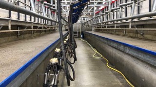 Slight rise in latest GDT auction for back-to-back increases