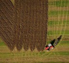 Giant anti-Brexit message ploughed into English field