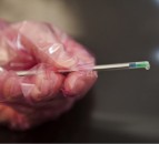 Sexed semen: Why is it not there yet?
