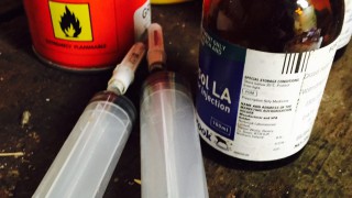 Animal medicines improvement notices issued to 2 firms