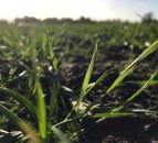 'Farming Fortnight' to take place next week - here's how to be part of it