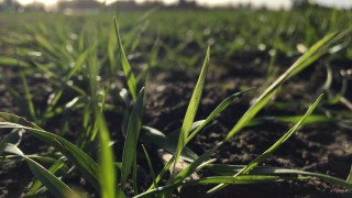 ‘Farming Fortnight’ to take place next week – here’s how to be part of it