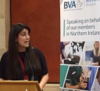 NI vets praised for ‘strong and supportive’ work ahead of Brexit