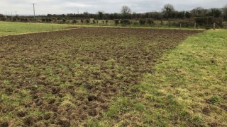 Farmers warned of liver fluke risks in wet weather