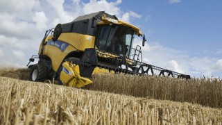 Higher wheat supplies; lower corn and oilseeds production – WASDE