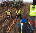 Potatoes Next Generation: Applications open at BP2019