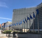 Stable CAP 2021 budget ‘crucial’ for young EU farmers