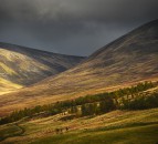 Grouse shooting report will mean 'seismic' changes for Scotland moors
