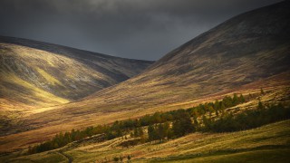 ‘Biodiversity and food production must be considered in climate change land use discussion’ – SLE
