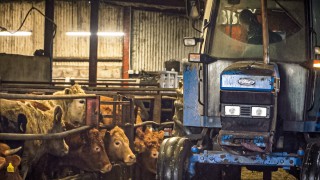 FARM SMART: Removing the paperwork on this 260-head finishing unit in Co. Derry