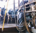 What ‘type’ of labour will best suit my farm this spring?