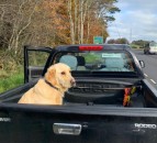 Driver with ‘insecure load’ in the doghouse with the law