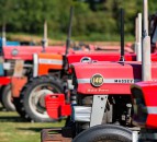 Auction report: Coveted tractor collection goes ‘under the hammer’