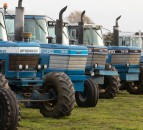 Auction report: TW mania at massive ‘on-site’ sale