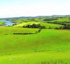 Successful first year for the Scottish Land Matching Service