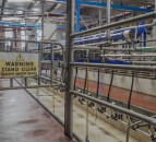 GDT auction sees slight fall after 5 successive increases