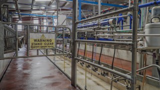 GDT auction sees slight fall after 5 successive increases
