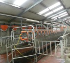 GDT takes 5% tumble in latest auction