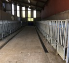 Management hint: Your complete pre-calving checklist