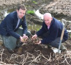 NI potato harvest: Unfinished business as up to 10% remains underground