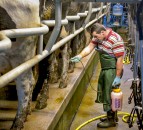UK Government launches Code of Conduct for fairness in the dairy supply chain