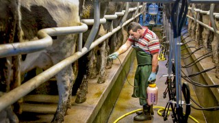 Do we need to be a bit more inventive about who we employ on our dairy farms?