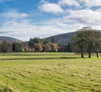 44,000 trees to be planted as Urban Tree Challenge Fund reopens